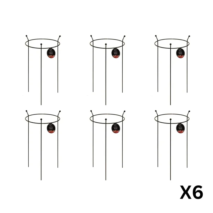 6 Pack of Small 60cm x 35cm Heavy Duty Black Steel Herbaceous Garden Plant Support Ring