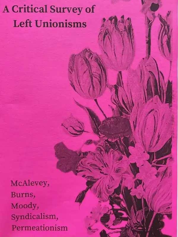 A Critical Survey of Left Unionisms