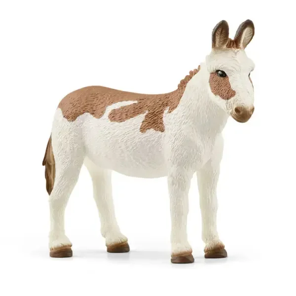 AMERICAN SPOTTED DONKEY