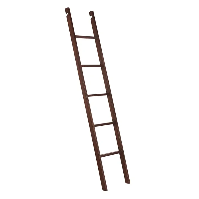 Augustus Wood Bookshelf Ladder