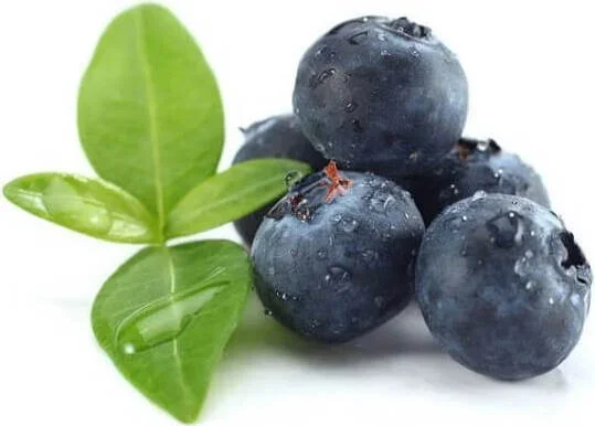 BIO FRISCHE HEIDELBEEREN (ca. 0,125 kg)