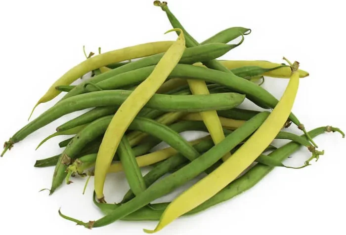 Bio-Spargelbohnen (ca. 0,50 kg)