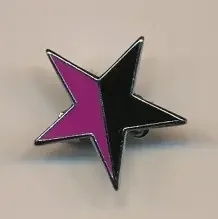 Black and Purple Feminist Star Enamel Pin