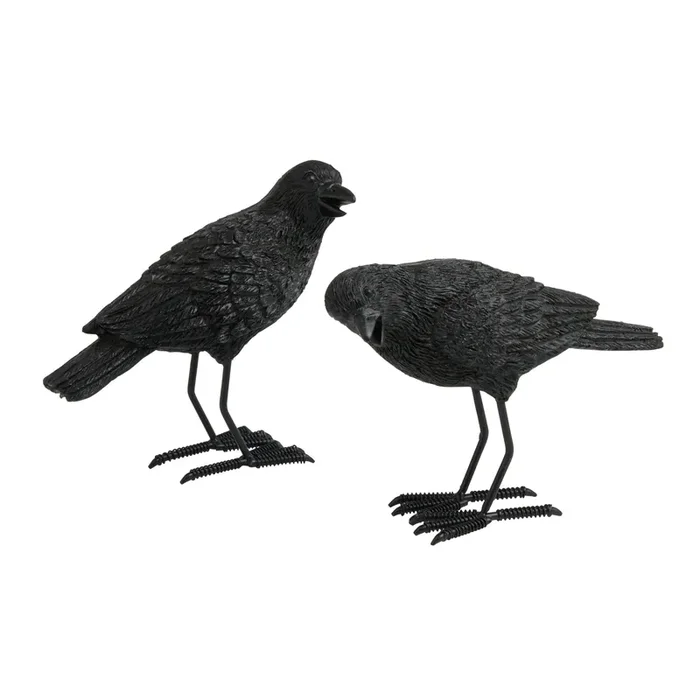 Black Resin And Iron Crow Decor Set Of 2