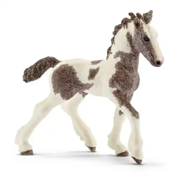 BROWN & WHITE FOAL