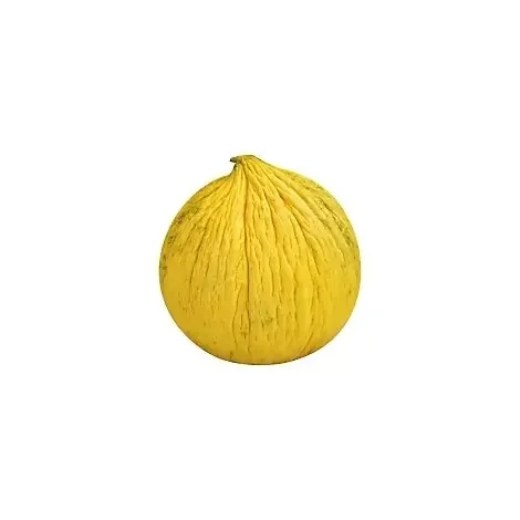 Casaba Melon