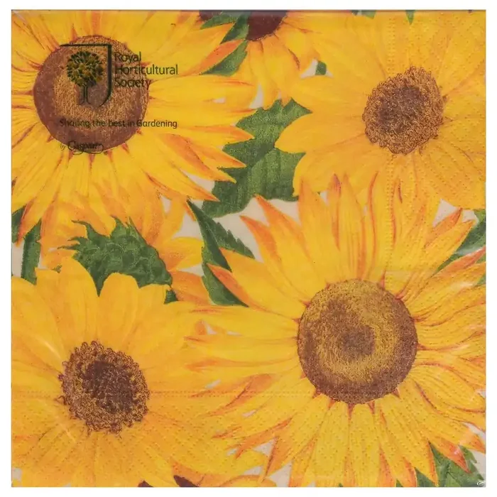 Caspari Triple-Ply Sunflowers Napkins 20 ea