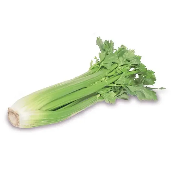 Celery Sleeved 1Un