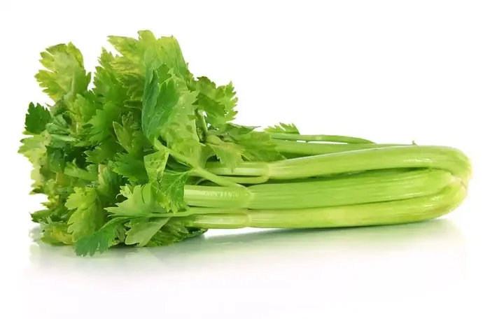 Celery Stalks