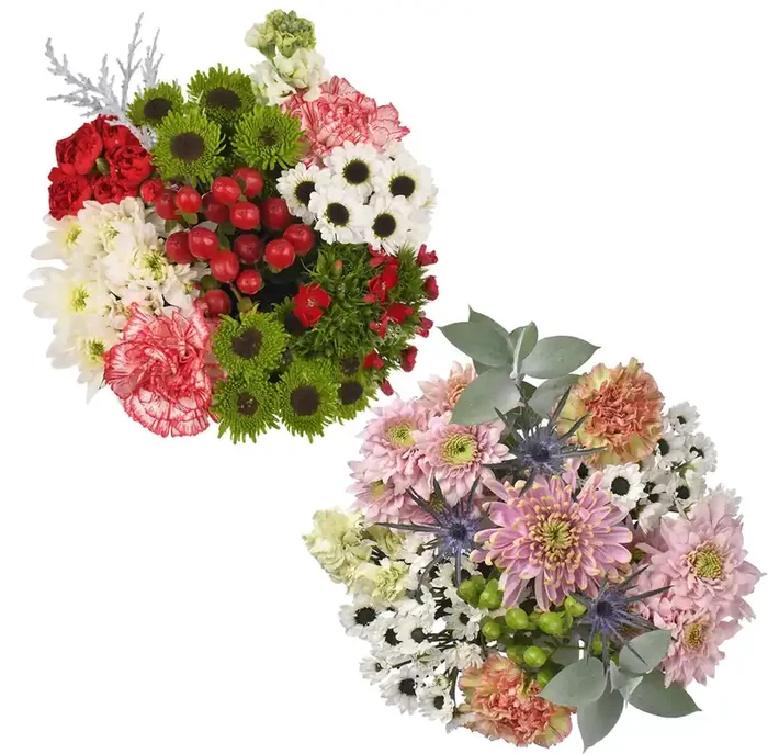 Central Market Texas Posies Bouquet, Colors Vary