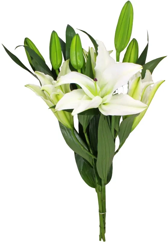 Central Market White Oriental Lilies