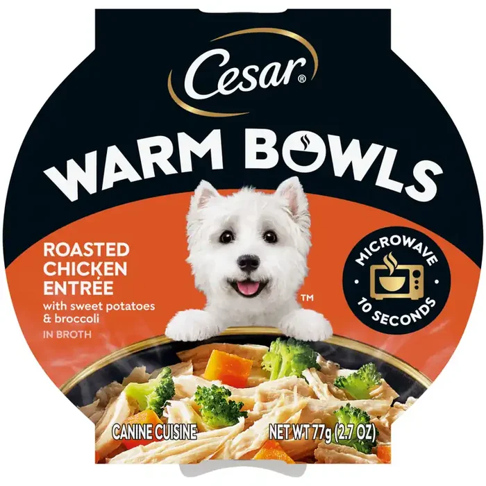 Cesar Warm Bowls Chicken Wet Dog Food 2.7 oz