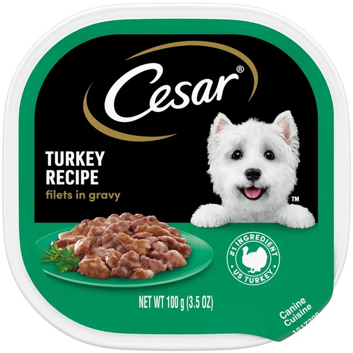 Cesar Wet Dog Food Fillets in Gravy Turkey Recipe Tray