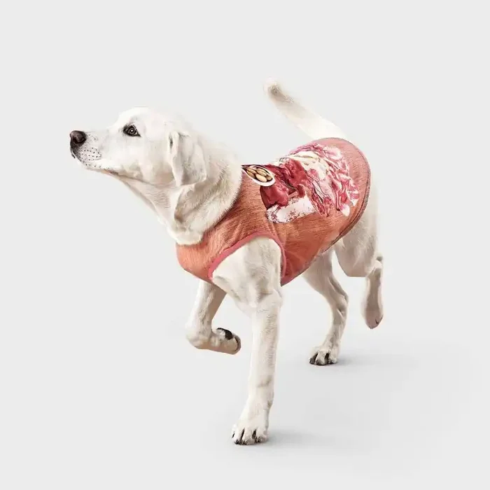 Charcuterie Dog T-Shirt – Boots & Barkley™ XL