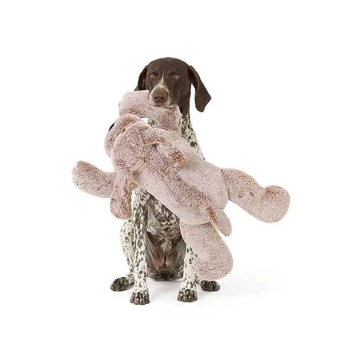 Charities Petsmart Charities® Thrills & Chills® Squeaker Xl Plush Dog Toy