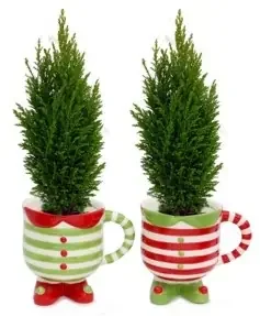 Charlie‘s Produce 3 Inch Pine Euro Footed Elf Mug