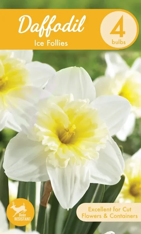 Charlie‘s Produce Garden State Bulb Ice Follies Daffodil Bulbs