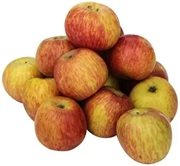 Chelan Fresh Apples 32 oz