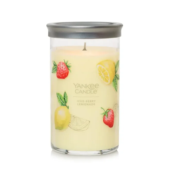 Chesapeake Bay Candle Chesapeake Bay Aromascape Jar Candle Pear + Ginger
