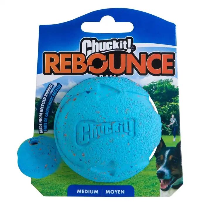 Chuckit! Rebounce Ball Dog Toy