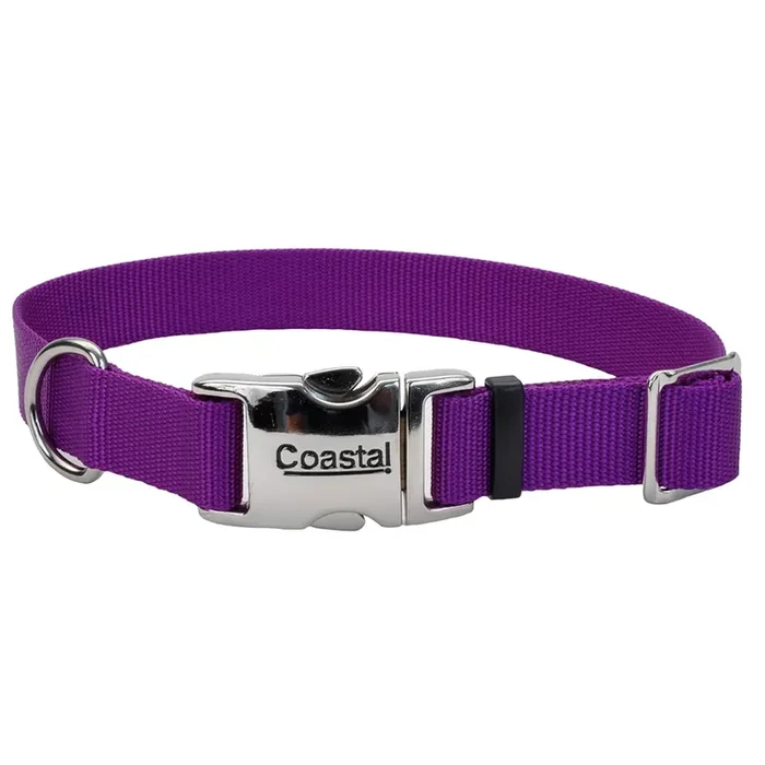 Coastal Adjustable Dog Collar with Metal Buckle, Purple, Medium – 1″ x 14″-20″