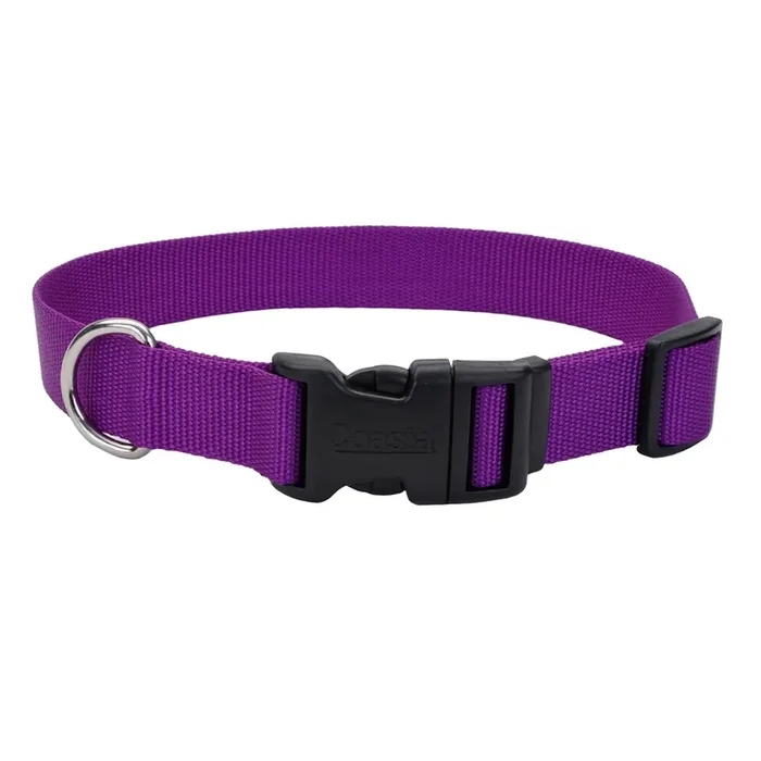Coastal Adjustable Dog Collar with Plastic Buckle, Purple, Extra Small – 3/8″ x 8″-12″