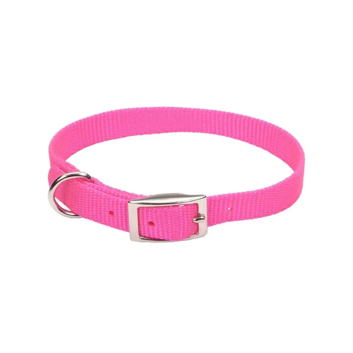 Coastal Single-Ply Dog Collar, Neon Pink, Medium – 5/8″ x 16″
