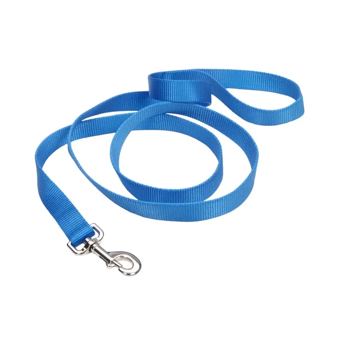 Coastal Single-Ply Dog Leash, Blue Lagoon, Small – 5/8″ x 6‘