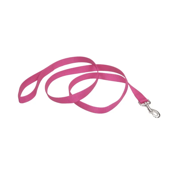 Coastal Single-Ply Dog Leash, Neon Pink, Large – 1″ x 6‘