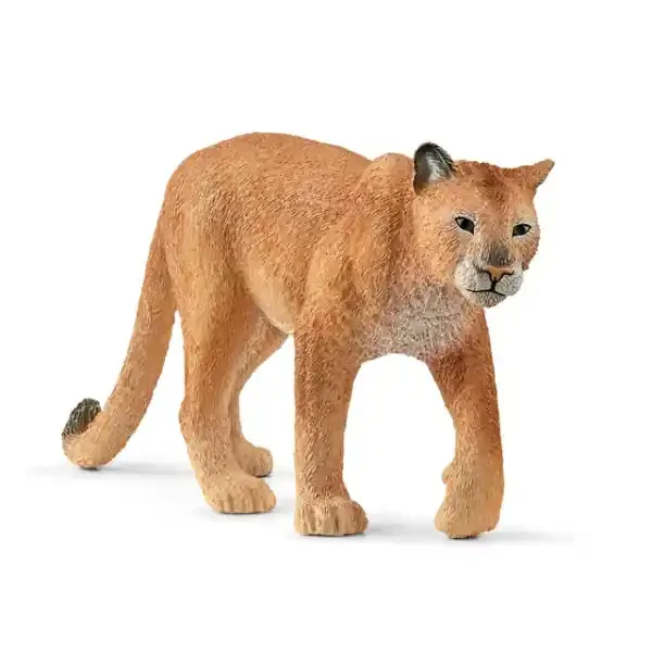 COUGAR