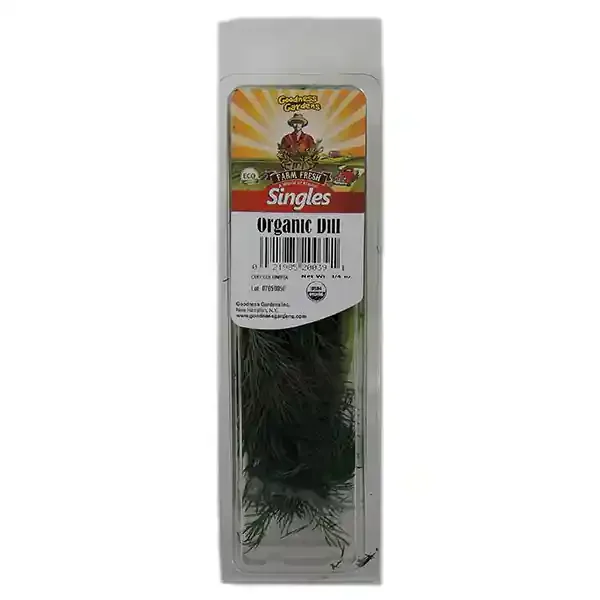 Dill Organic
