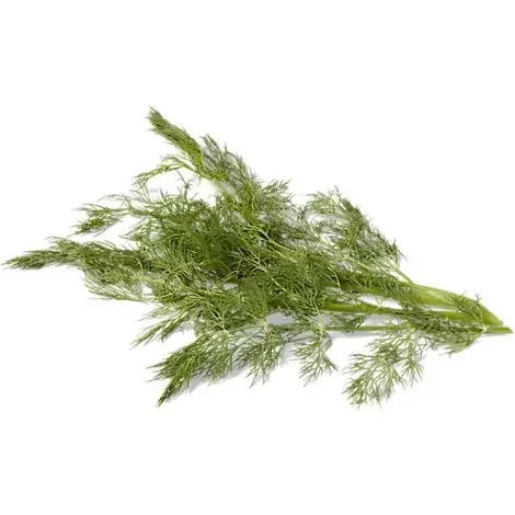 Dill Weed – 1 Bunch