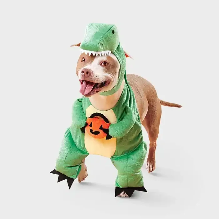 Dino with Pumpkin T-Rex Pail Dog Frontal Costume – Boots & Barkley™ Light Green L