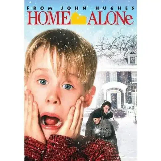 Disney Home Alone (DVD)