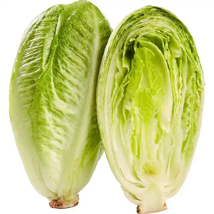 Disney Romaine Hearts