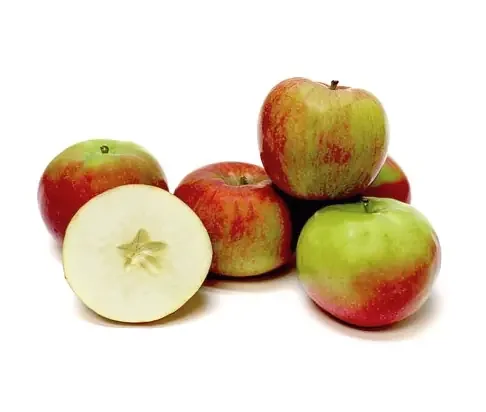 Eastern Mcintosh Apples