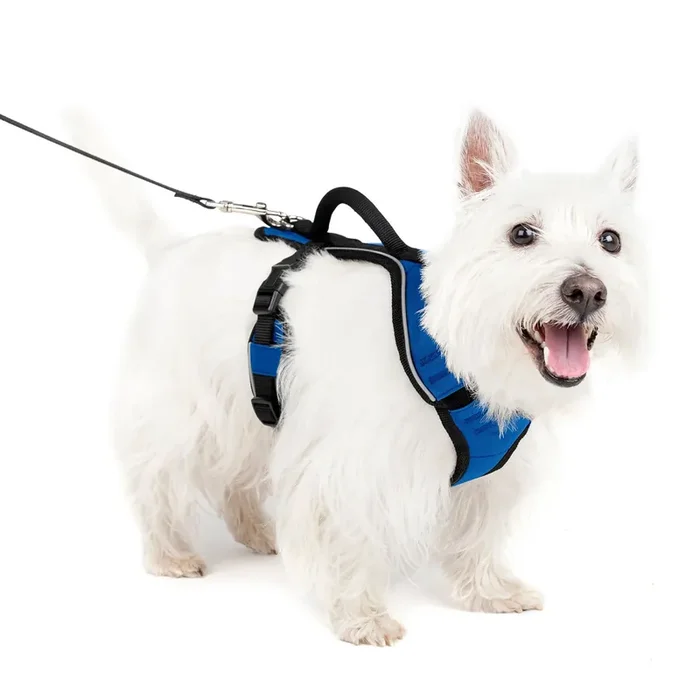 Easy Sport Dog Harness Blue Sm