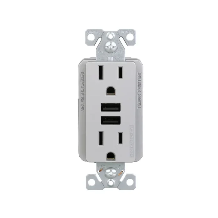 Eaton 15 -Amp 125-volt Tamper Resistant Residential/Commercial Decorator USB outlet Dual Type A , Silver Granite