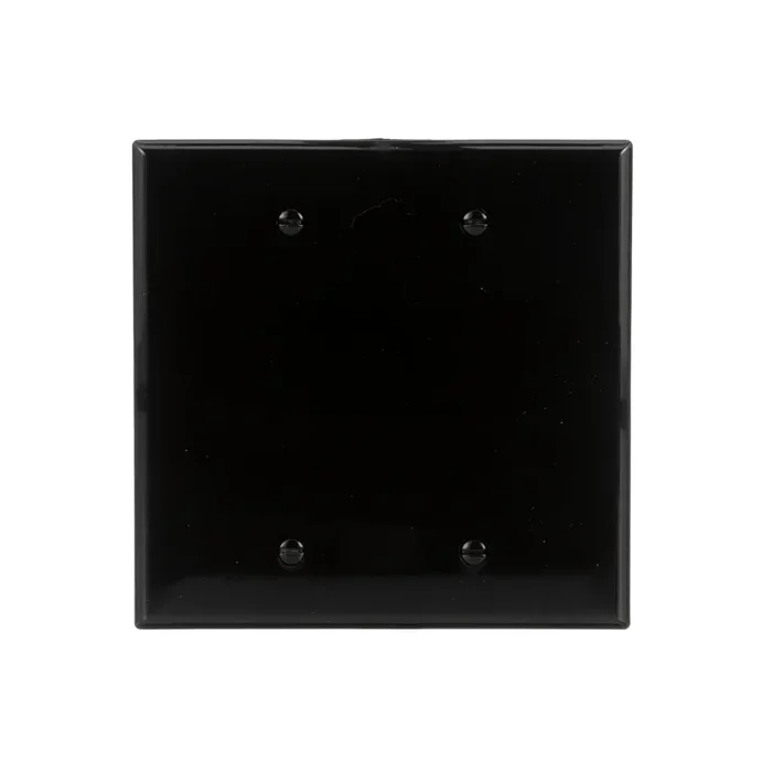 Eaton 2 -Gang Midsize Size Black Polycarbonate Indoor Blank Wall Plate