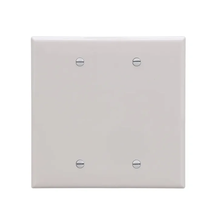 Eaton 2 -Gang Midsize Size White Polycarbonate Indoor Blank Wall Plate