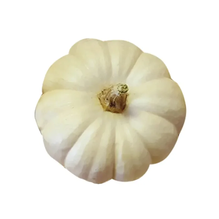 Eco Forest CASPER PUMPKIN PBS