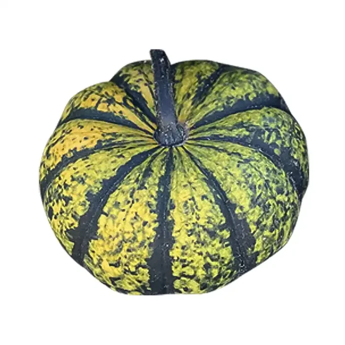 Eco Forest Green Fresh Gourd