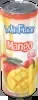 El Mexicano Latin Fusion Splash Mango Juice