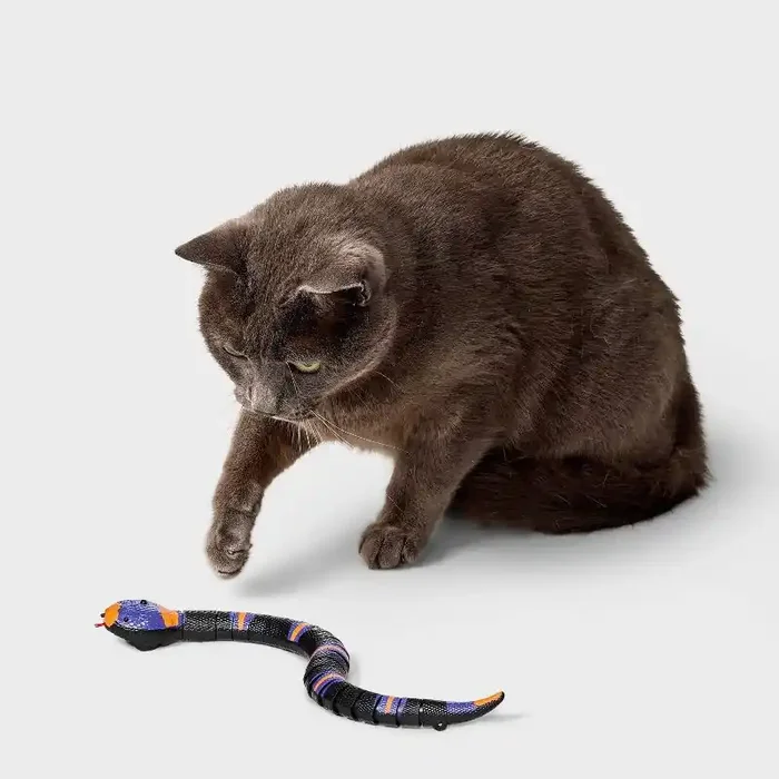 Electronic Snake Cat Mechanical Toy – Boots & Barkley™