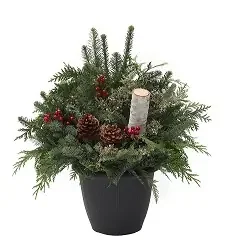 EVERGREEN PORCH POT