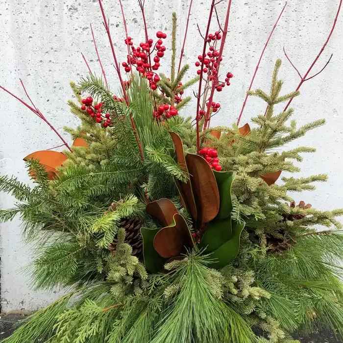 Evergreen Pot, Red Magnolia- 13″ Pot