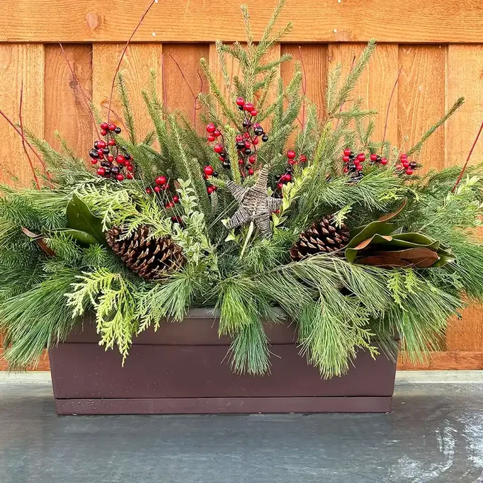 Evergreen Window Box, Burgundy Magnolia- 24″