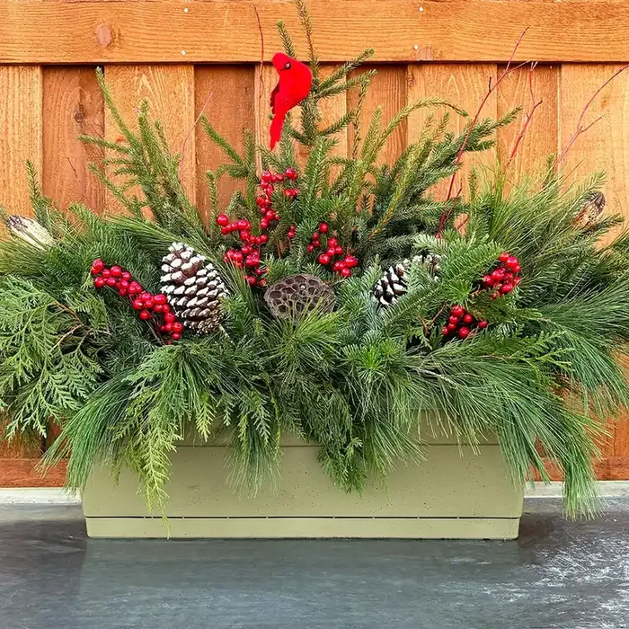 Evergreen Window Box, Red- 24″