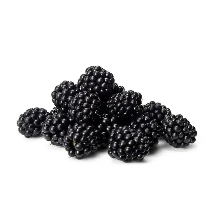 Fresh Organic Blackberries – 6oz