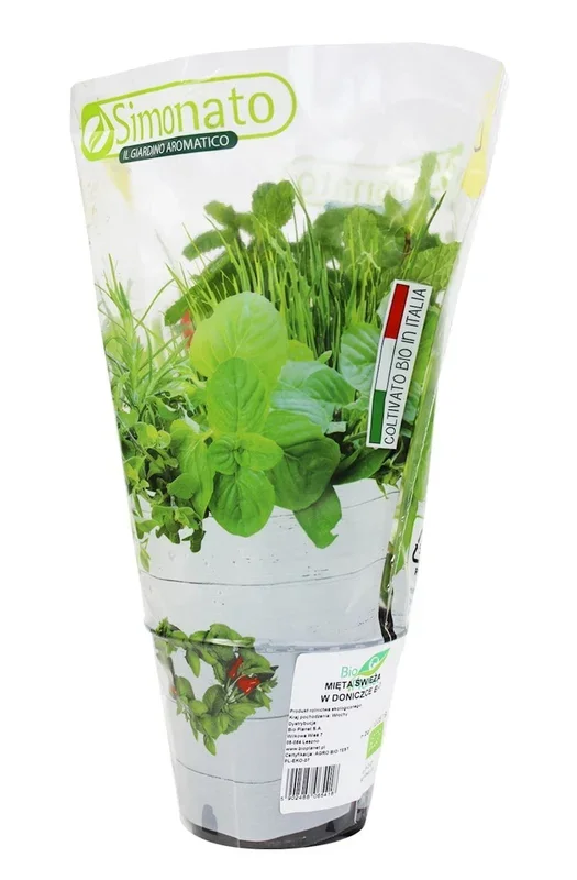 Frische Minze im BIO-Topf (1 Stk.)